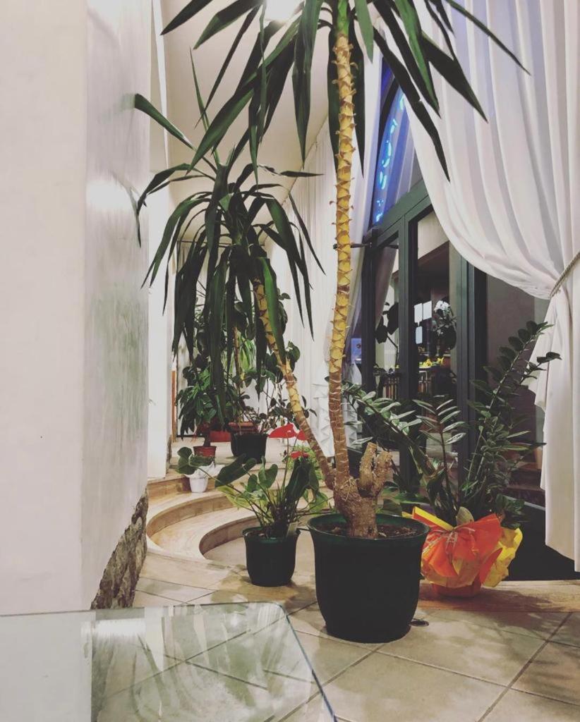 巴迪亚尔皮诺 阿雷佐波斯塔旅馆酒店 外观 照片